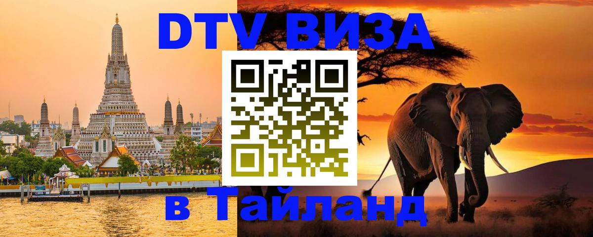 Оформление DTV визы под ключ: стоимость и тарифы, только загранпаспорт - 06.12.2025 